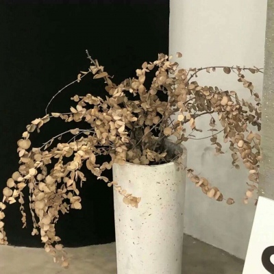 兽设黄昏场景创作福瑞交流群